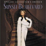 日落大道小姐姐,时尚与魅力的完美融合